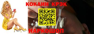 гашик Моздок