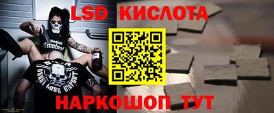 гашик Моздок