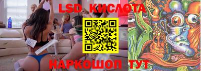 гашик Моздок