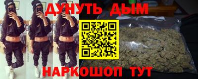 гашик Моздок