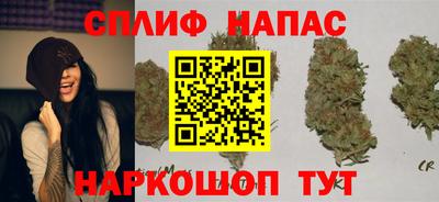 гашик Моздок