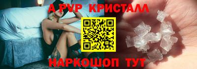 гашик Моздок